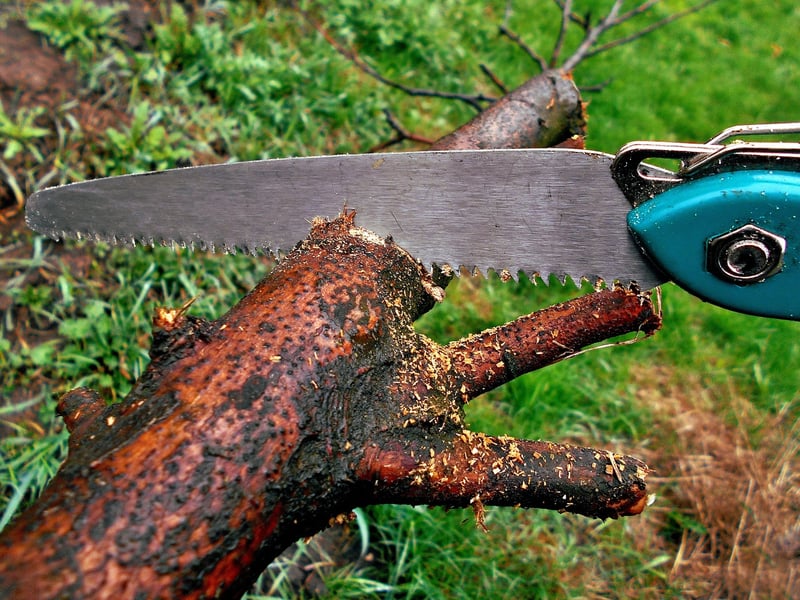 Pruning Strategies