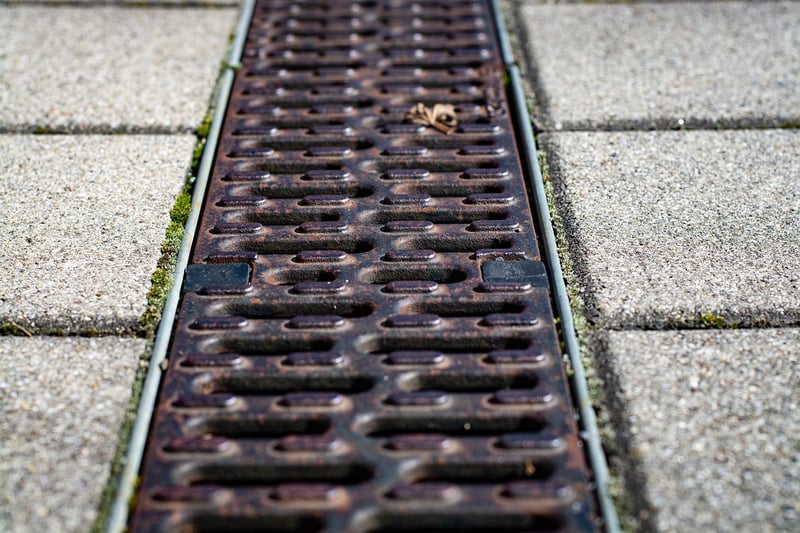 Gutter Garden