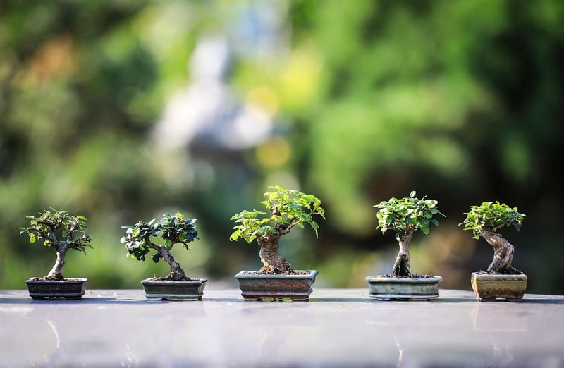 Indoor Vertical Gardens